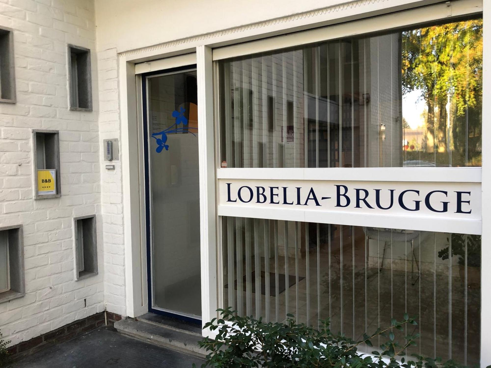 B&B Lobelia-Brugge Bruges Exterior foto