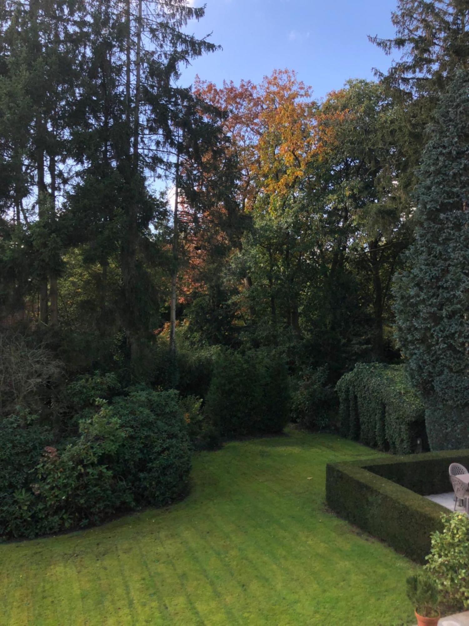 B&B Lobelia-Brugge Bruges Exterior foto